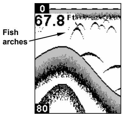 EAGLE FISHEASY 245DS PORTABLE - Fish I.D. - 1