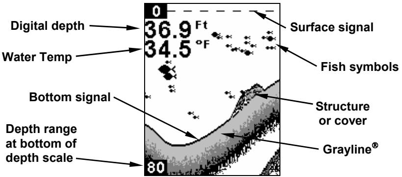 EAGLE FISHEASY 245DS PORTABLE - Display - 1
