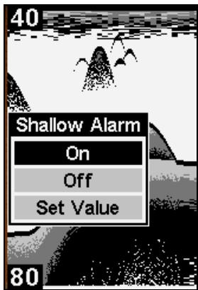 EAGLE FISHEASY 245DS PORTABLE - Shallow Alarm - 1