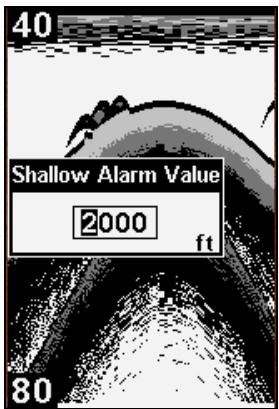 EAGLE FISHEASY 245DS PORTABLE - Shallow Alarm - 2