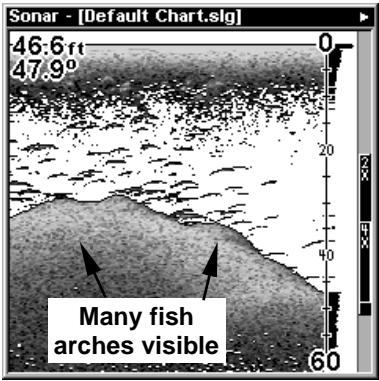 EAGLE FISHELITE 480 - Fish I.D.™ (Fish Symbols &amp; Depths) - 3