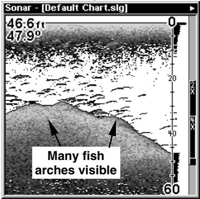 EAGLE FISHMARK 320 - Fish I.D.™ (Fish Symbols &amp; Depths) - 3