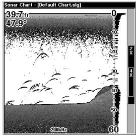 EAGLE FISHMARK 320 - Full Sonar Chart - 1