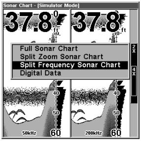 EAGLE FISHMARK 320 - (SeaFinder 320DF only) - 1