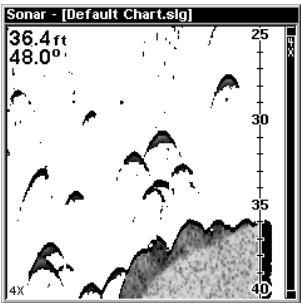 EAGLE FISHMARK 320 - Zoom &amp; Zoom Bar - 3