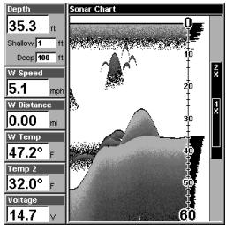 EAGLE FISHMARK 480 - Digital Data/Chart - 1