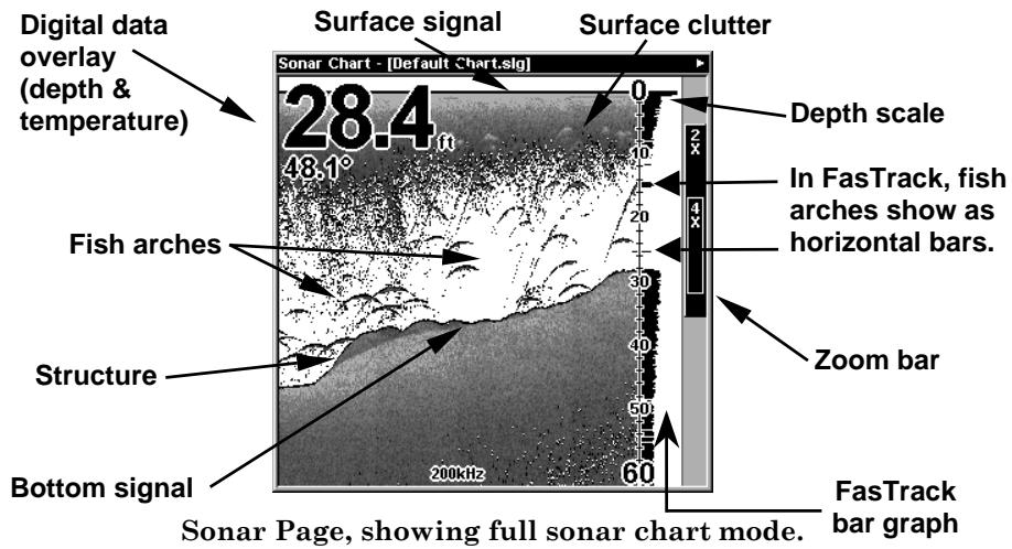 EAGLE SEAFINDER 480DF - Pages Menu showing some Sonar display options (at left, dual-frequency menu; at right, single-frequency menu). - 1