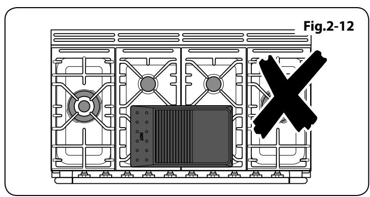 FALCON ELISE 110 SE 2 - Plaque à griller (option) - 8