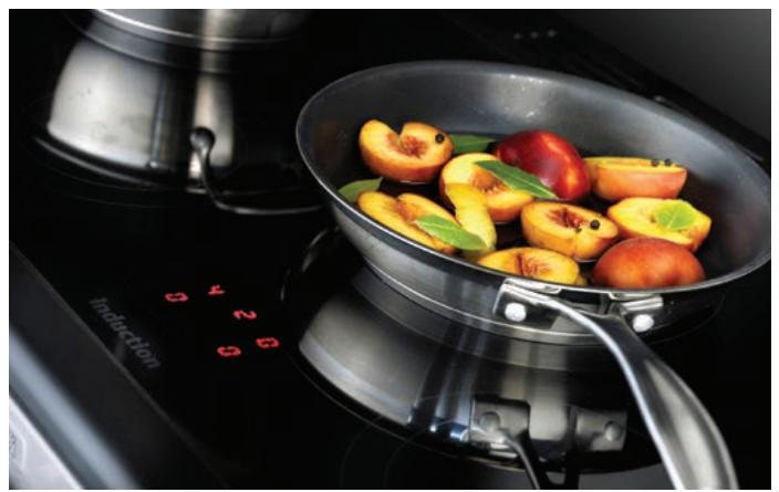 FALCON PROFESSIONAL FX90 MIXTE INOX - 2