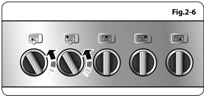 FALCON PROFESSIONAL FX90 MIXTE INOX - Low Temperature Setting, L1/L2 - 1