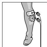 COMPEX MI THETA PRO - Position du corps - 1