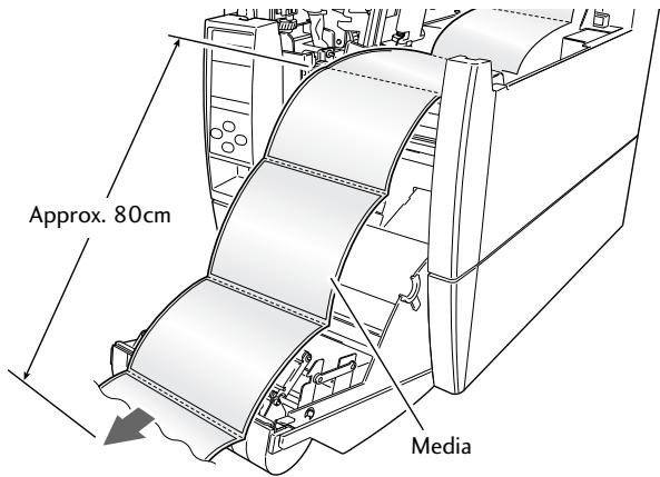 CITIZEN CL-S700 - Setting the Media - 1