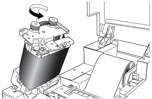 CITIZEN CL-S700 - Setting method - 5