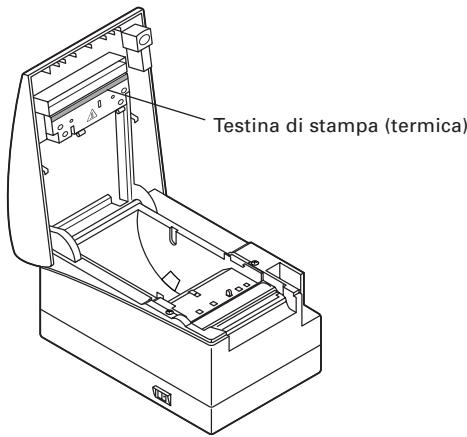 CITIZEN CT-S2000 - Pulizia della testina di stampa - 1