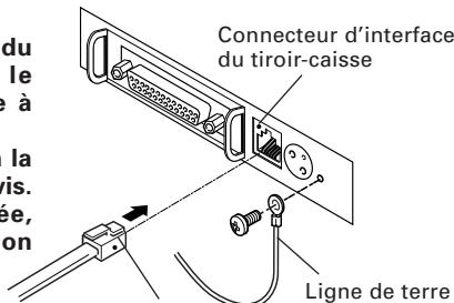 CITIZEN CT-S300 - Branchement du tiroir-caisse - 1