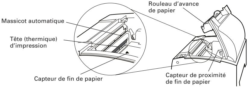 CITIZEN CT-S300 - Intérieur du capot de papier - 1