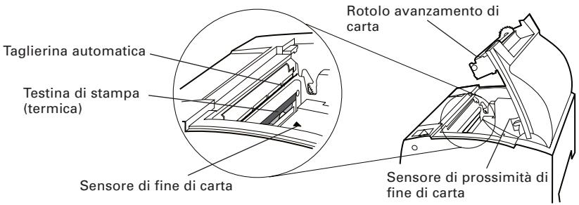 CITIZEN CT-S300 - Interno del coperchio per la carta - 1