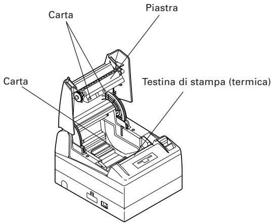 CITIZEN CT-S4000DCM - Pulizia periodica - 1
