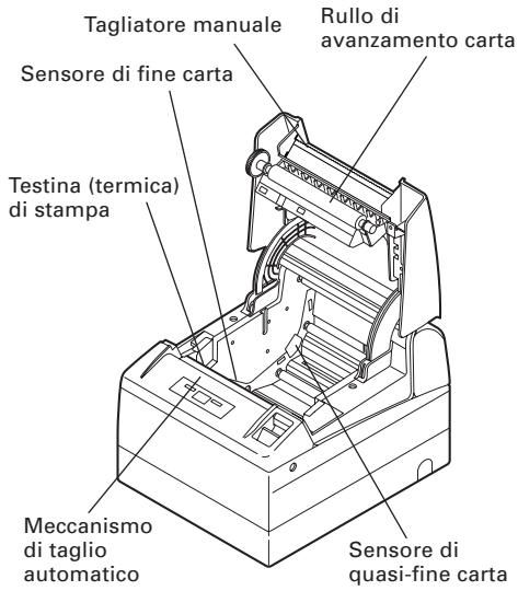 CITIZEN CT-S4000L - Interno del coperchio della stampante - 1