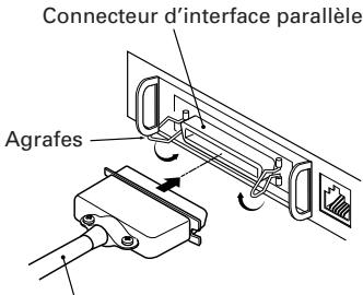 CITIZEN CBM-1000 II - Branchement des cables d'interface - 2
