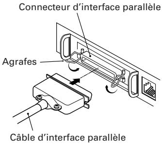 CITIZEN CBM-1000II - Branchement des câbles d'interface - 2