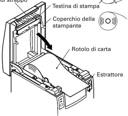 CITIZEN CBM-1000II - Sistemazione/sostituzione dei rotoli di carta - 1