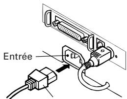 CITIZEN CBM-1000II - Branchement de l'adaptateur secteur et du cordon d'alimentation - 1