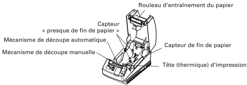 CITIZEN CT-S281 - Intérieur du capot de l'imprimante - 1