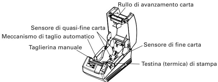 CITIZEN CT-S281 - Interno del coperchio della stampante - 1