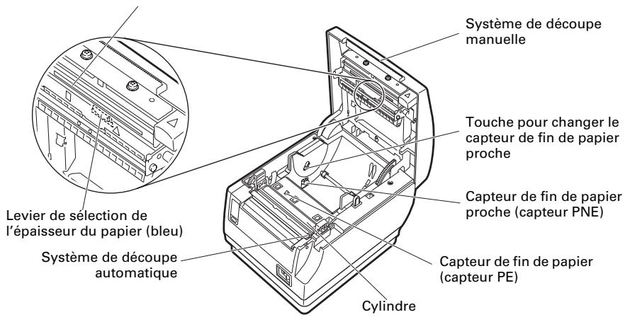 CITIZEN CT-S651 - À l'intérieur du capot papier - 1