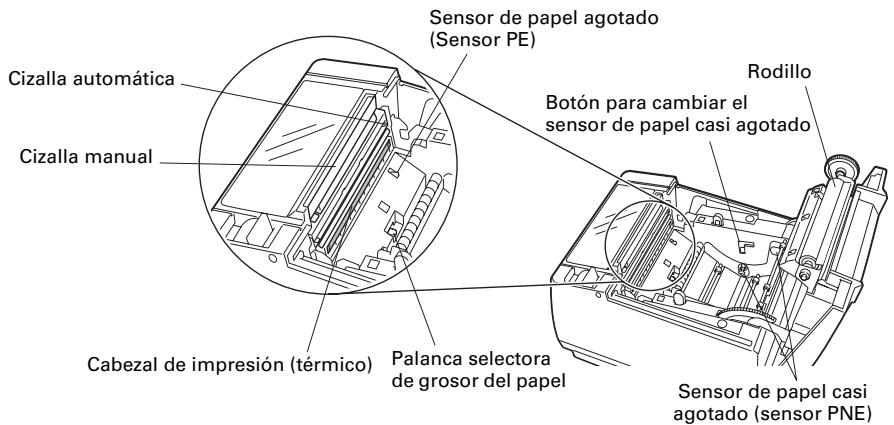CITIZEN CT-S801 - Interior de la tapa del papel - 1
