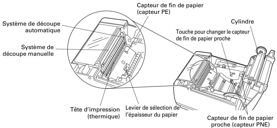 CITIZEN CT-S801 - À l'intérieur du capot papier - 1