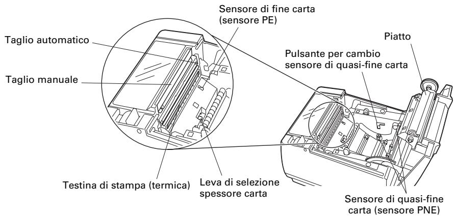 CITIZEN CT-S801 - All'interno del coperchio carta - 1