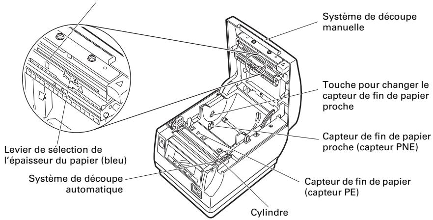 CITIZEN CT-S851 - À l'intérieur du capot papier - 1
