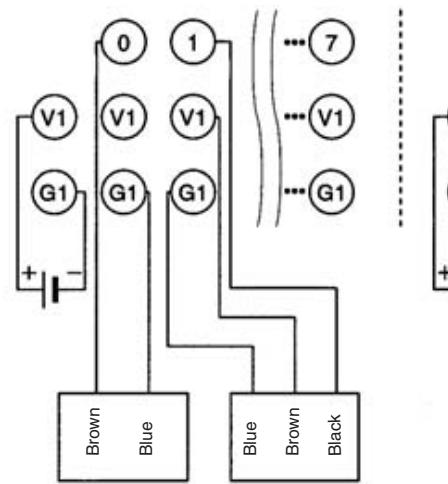 OMRON C200HW-SRM21-V1 - Terminal Arrangement and Wiring - 4