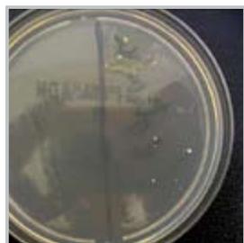 OMRON E2 - Anti-microbial housing - 4