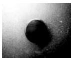 OMRON E2FM - Brush Test - 2