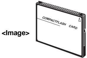 FOSTEX MR 8 - CompactFlash™ card - 1