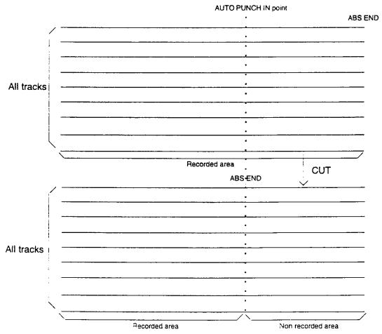 FOSTEX D-80 - Cut: - 1