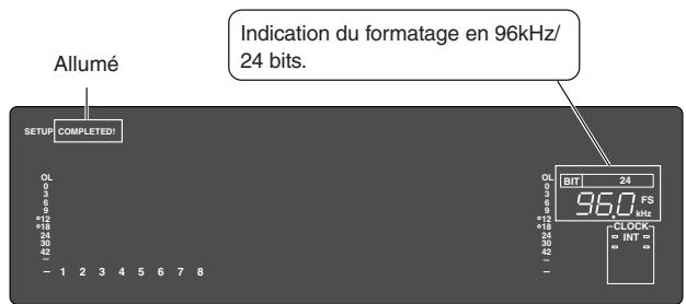 FOSTEX D2424LV - Pressez la touche [execute/yes] tout en maintenant enfoncée la touche [RECORD]. - 2