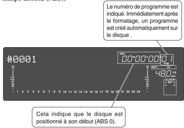 FOSTEX D2424LV - Pressez la touche [execute/yes] tout en maintenant enfoncée la touche [RECORD]. - 3