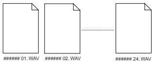 FOSTEX VF160EX - WAV file structure. - 1