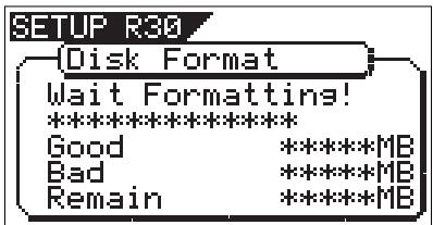 FOSTEX VF160EX - Press the [ENTER/YES] key while the [RECORD] key is depressed. - 1