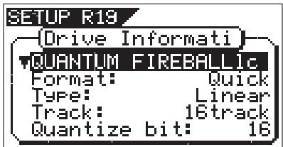 FOSTEX VF160EX - The Drive Format Information ["Drive Information"] - 1