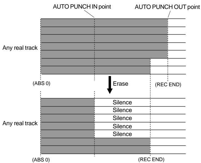 FOSTEX VF160EX - Erasing from a voluntarily specified point to REC END. - 2