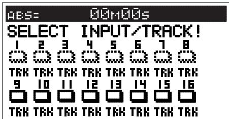 FOSTEX VF160EX - Could there be some channels set to "INPUT" at setup of [INPUT]-[TRACK] ? - 1