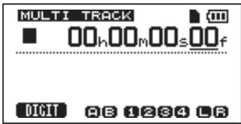 MULTI TRACK 00h00m00s00f DIGIT A B 1234 LR