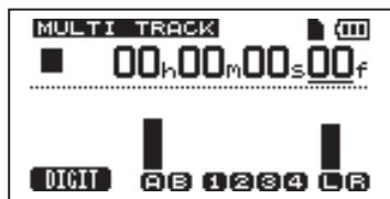 MULTI TRACK 00h00m00s00f DIGIT AB 1284 LR