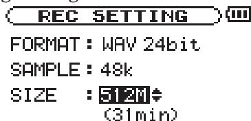 TASCAM DR-1 - Setting the maximum file size - 1