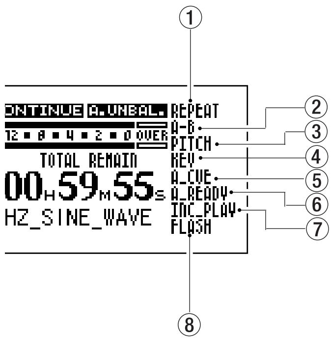 TASCAM SS-CDR1 - Various indicators - 1